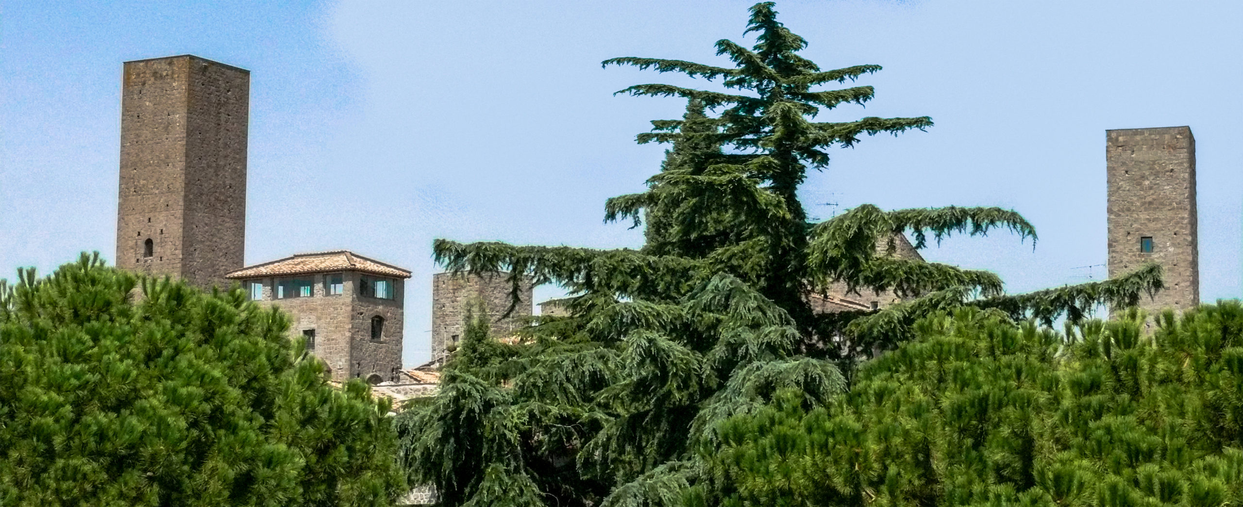Viterbo - Veduta delle torri di San Pellegrino dal quartiere di Pianoscarano
